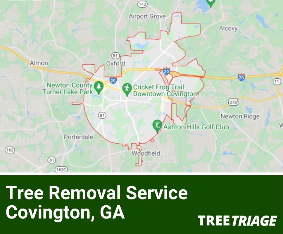 Tree Removal Service Covington, GA-2