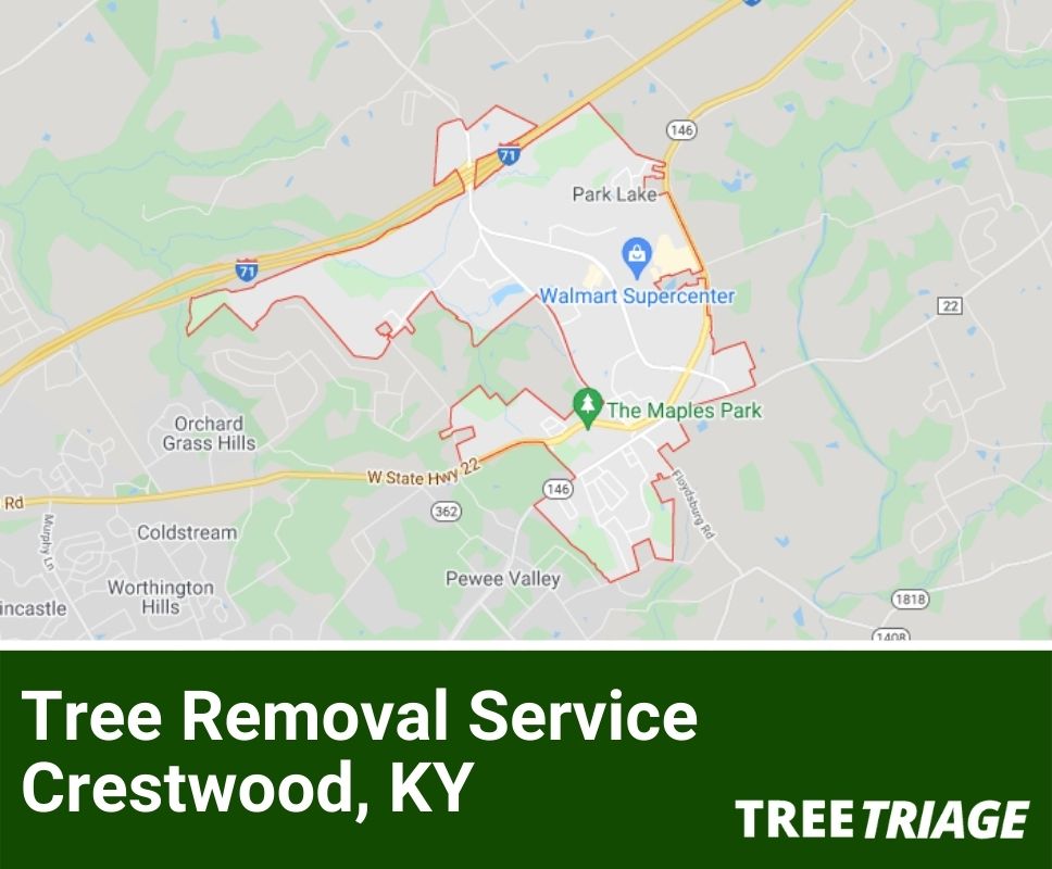 Tree Removal Service Crestwood, KY-2