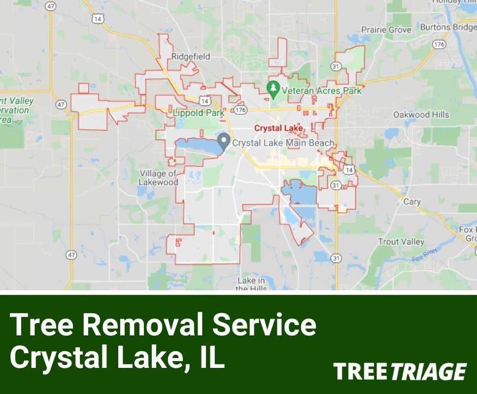 Tree Removal Service Crystal Lake, IL-2