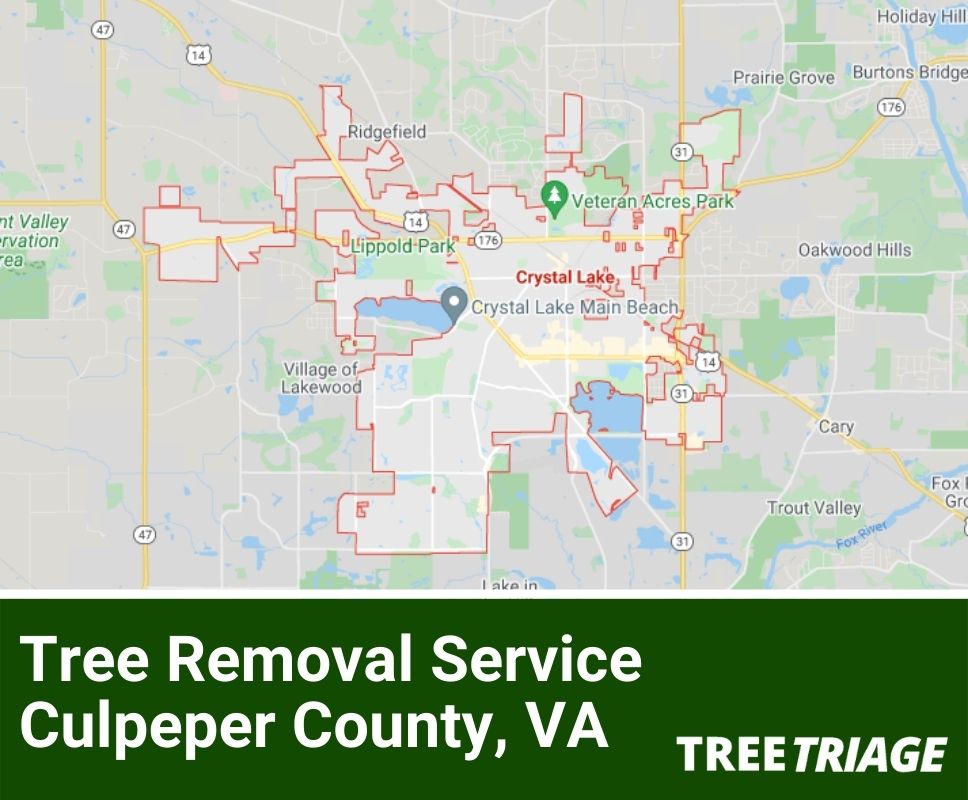 Tree Removal Service Culpeper County, VA-2