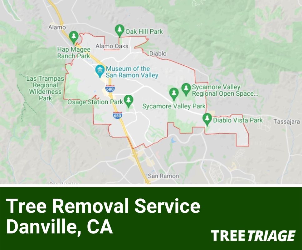 Tree Removal Service Danville, CA-2