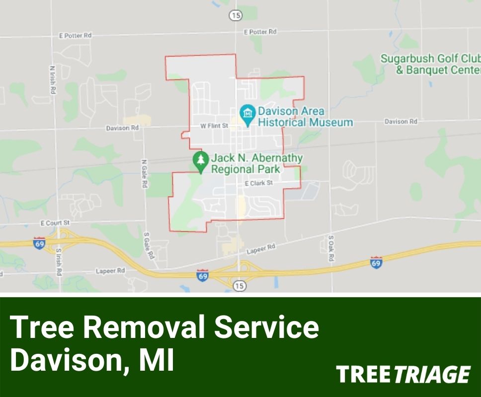 Tree Removal Service Davidson, MI-1