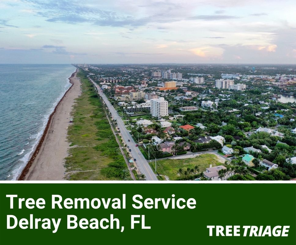 Tree Removal Service Delray Beach, FL-1
