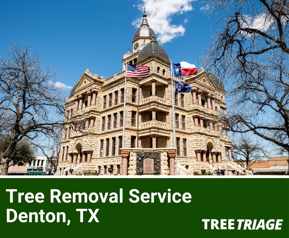 Tree Removal Service Denton, TX-1