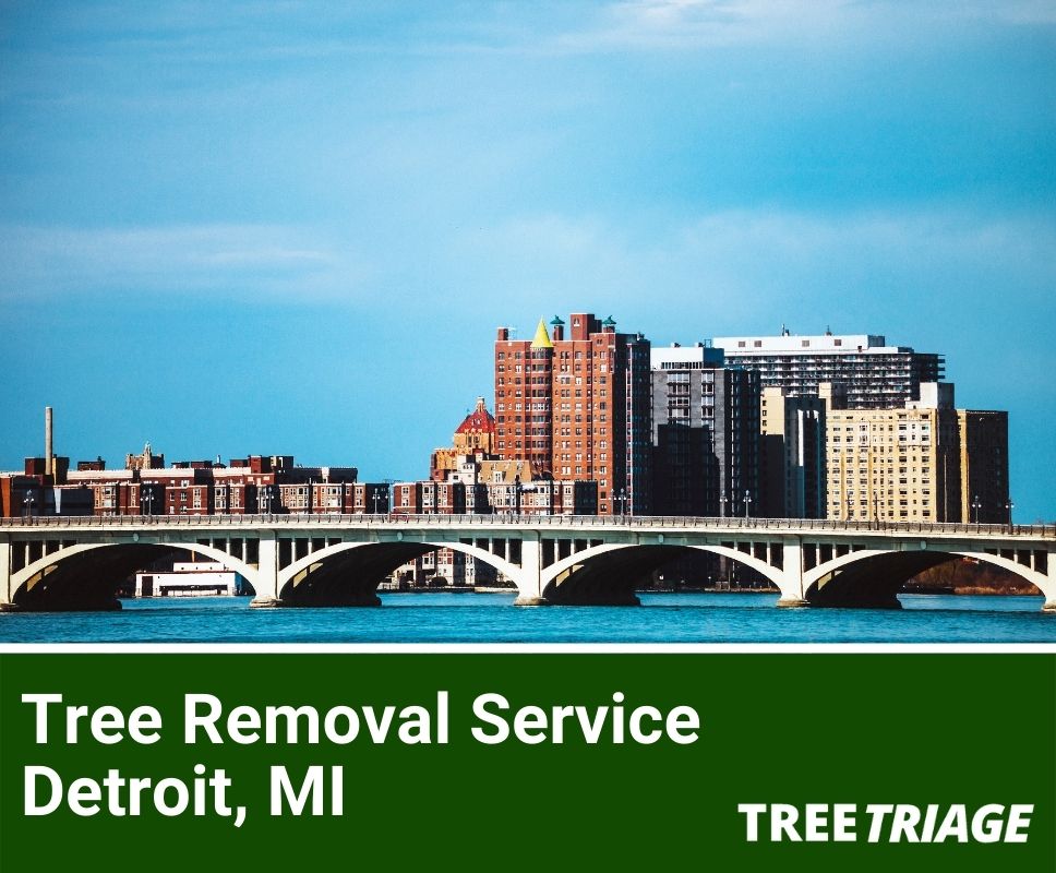Tree Removal Service Detroit, MI-1