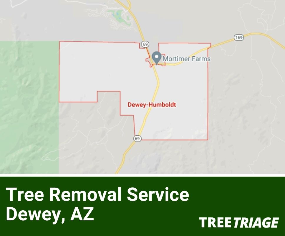 Tree Removal Service Dewey, AZ-1