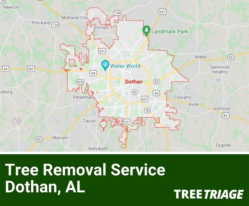 Tree Removal Service Dothan, AL-1