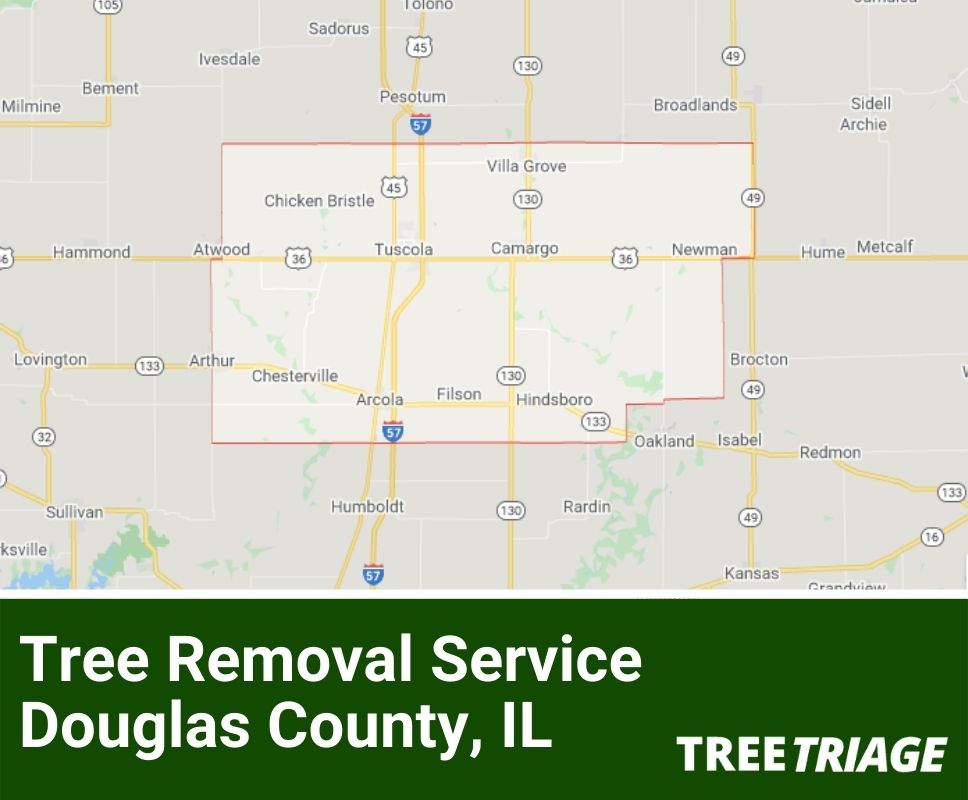 Tree Removal Service Douglas County, IL-1