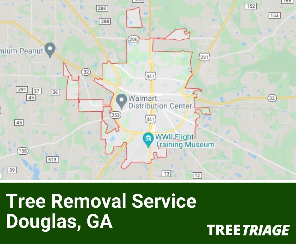 Tree Removal Service Douglas, GA-1