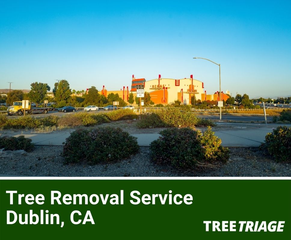 Tree Removal Service Dublin, CA-1