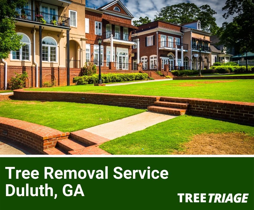 Tree Removal Service Duluth, GA-1