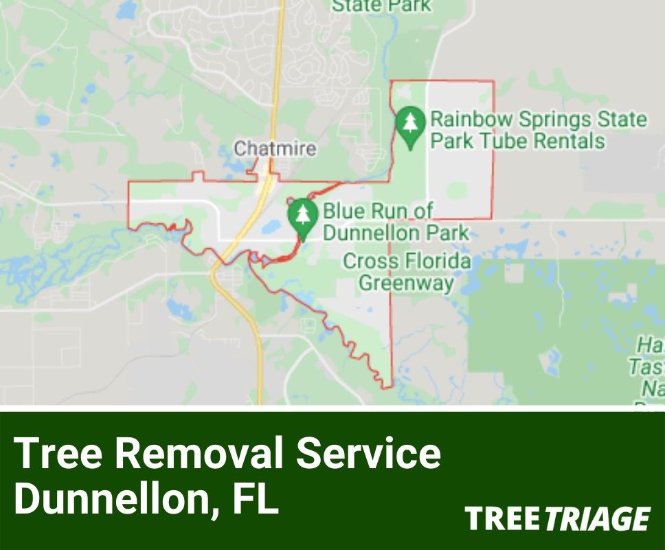 Tree Removal Service Dunnellon, FL-1