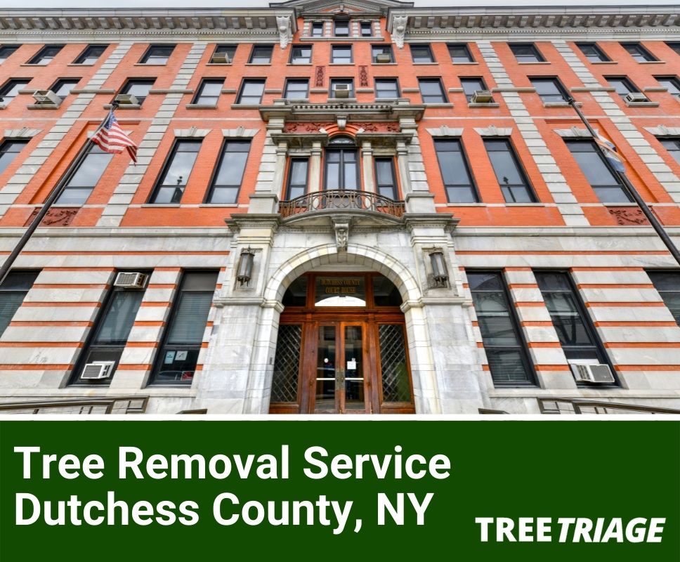 Tree Removal Service Dutchess County, NY-1