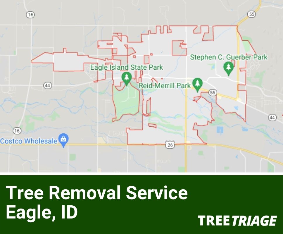 Tree Removal Service Eagle, ID-1