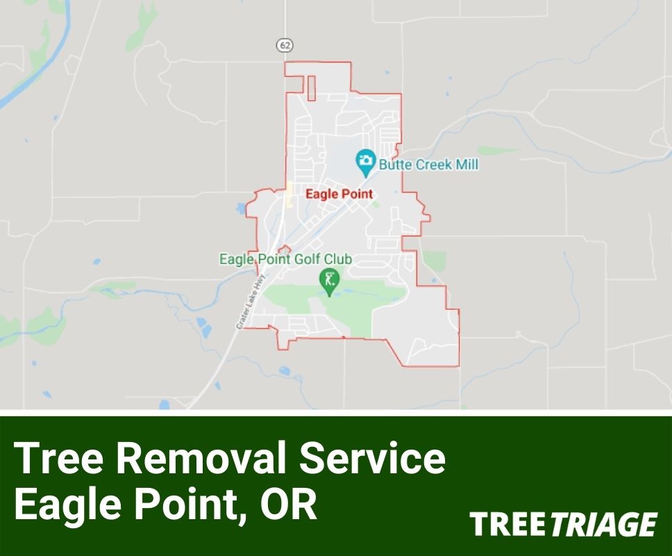 Tree Removal Service Eagle Point, OR-1
