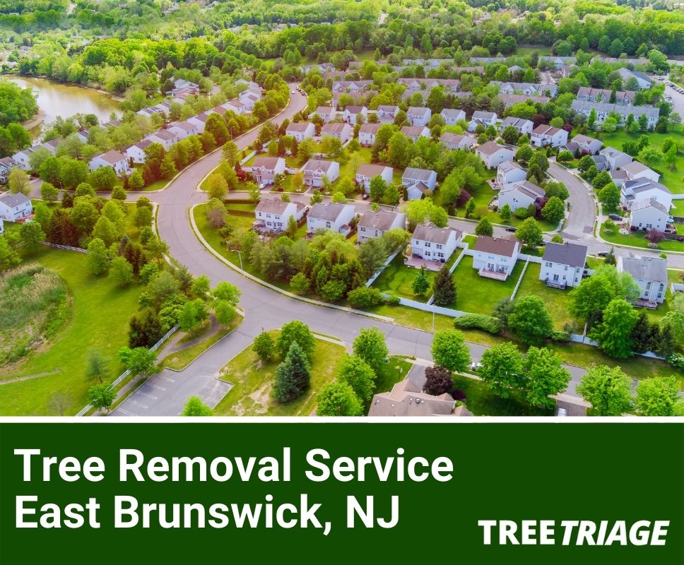 Tree Removal Service East Brunswick, NJ-1