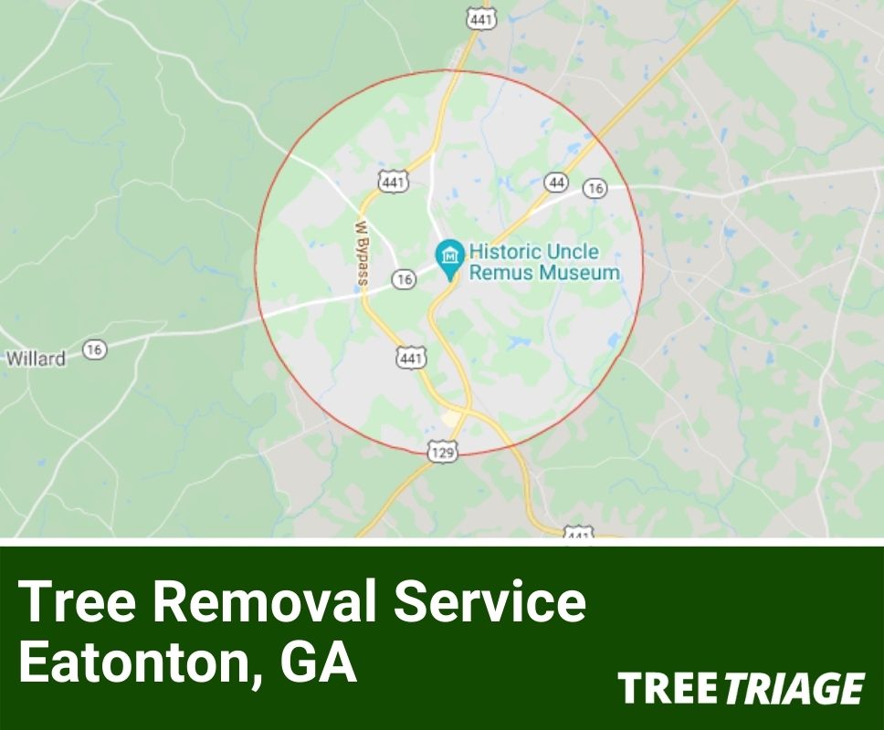 Tree Removal Service Eatonton, GA-1