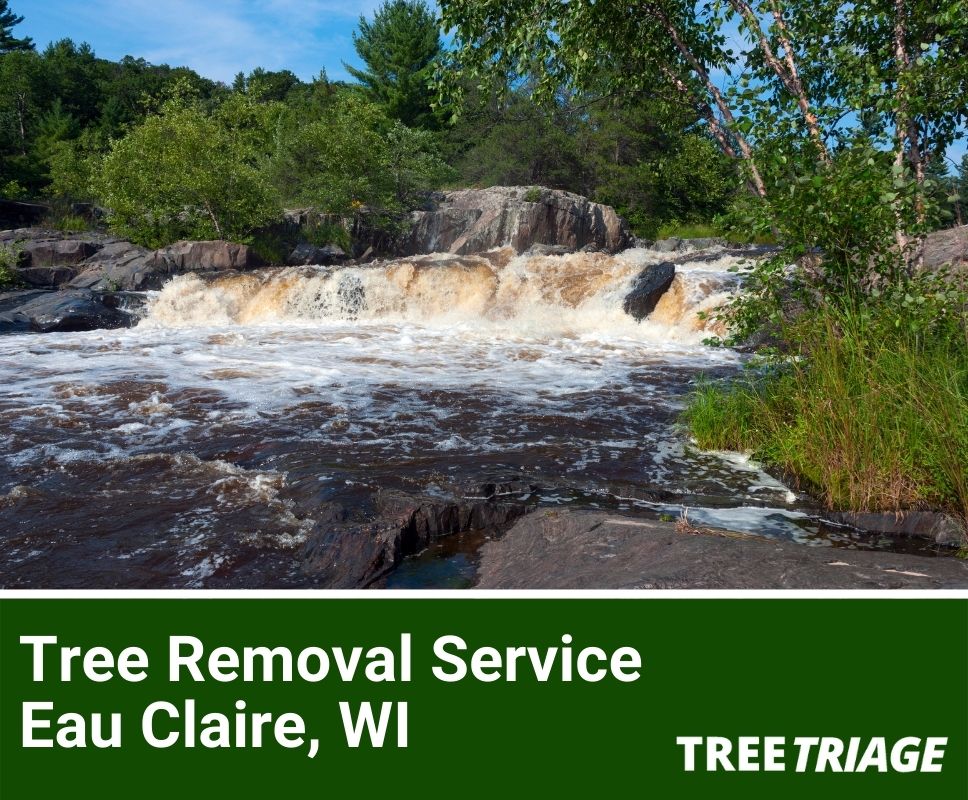 Tree Removal Service Eau Claire, WI-1