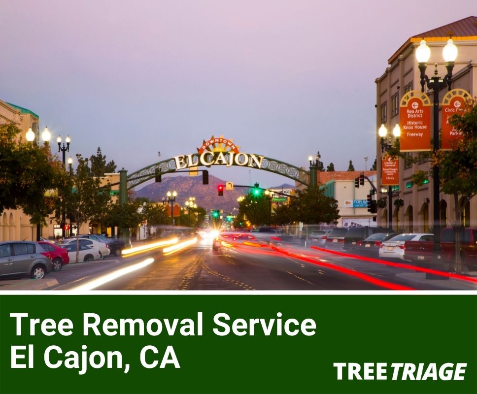 Tree Removal Service El Cajon, CA-1