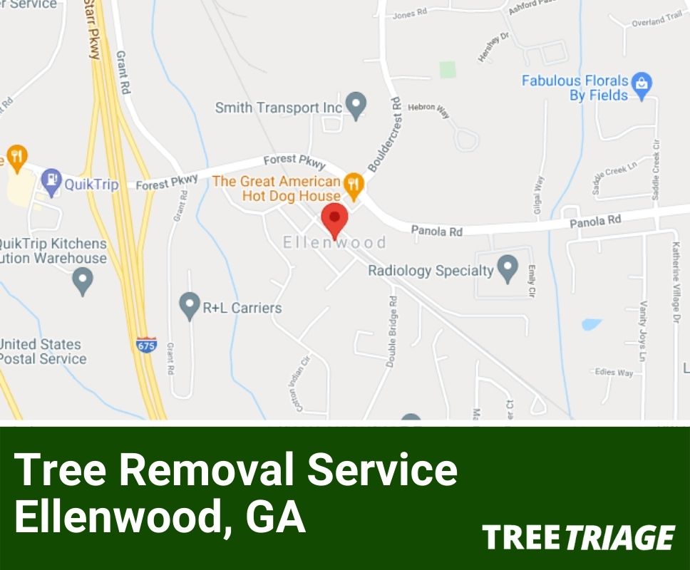 Tree Removal Service Ellenwood, GA-1