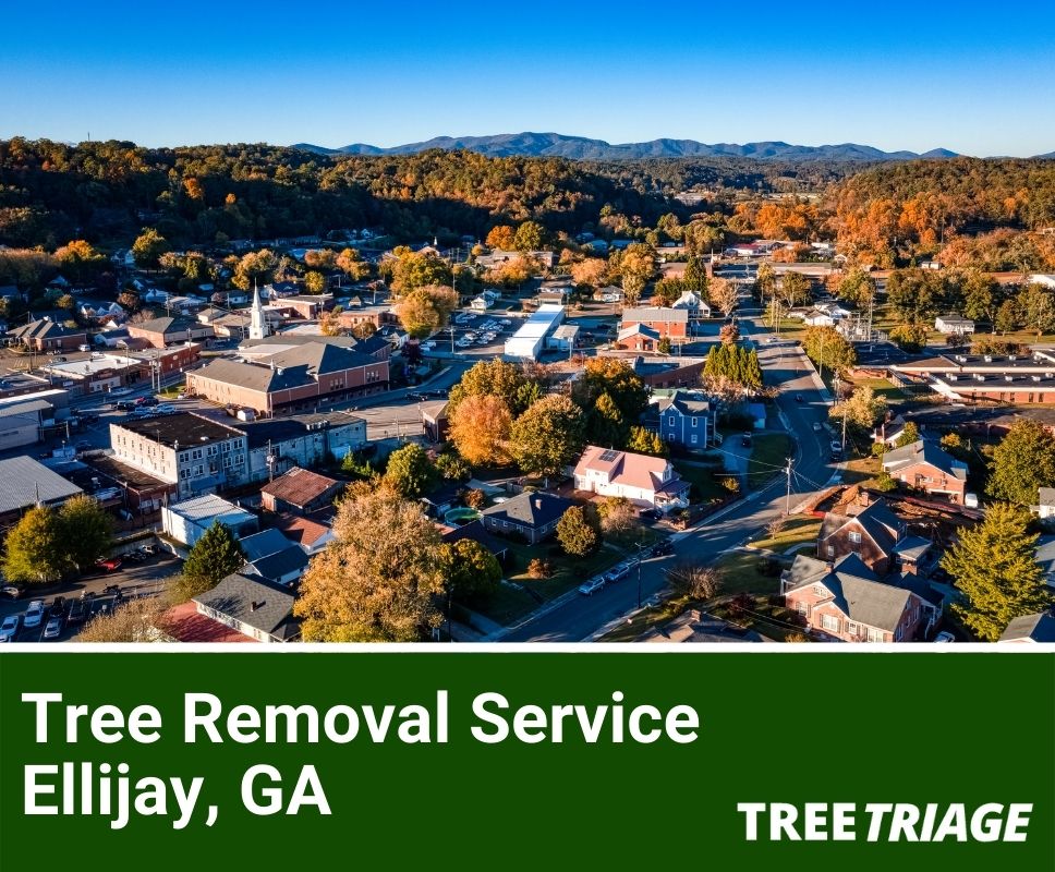 Tree Removal Service Ellijay, GA-1