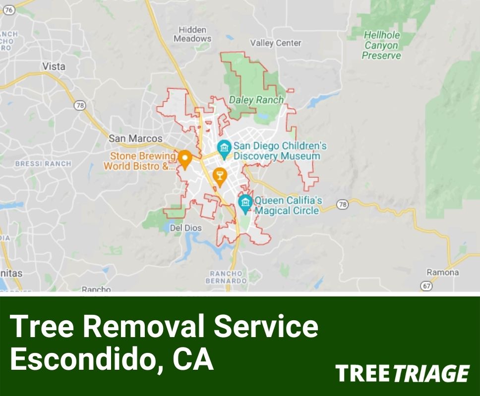 Tree Removal Service Escondido, CA-1