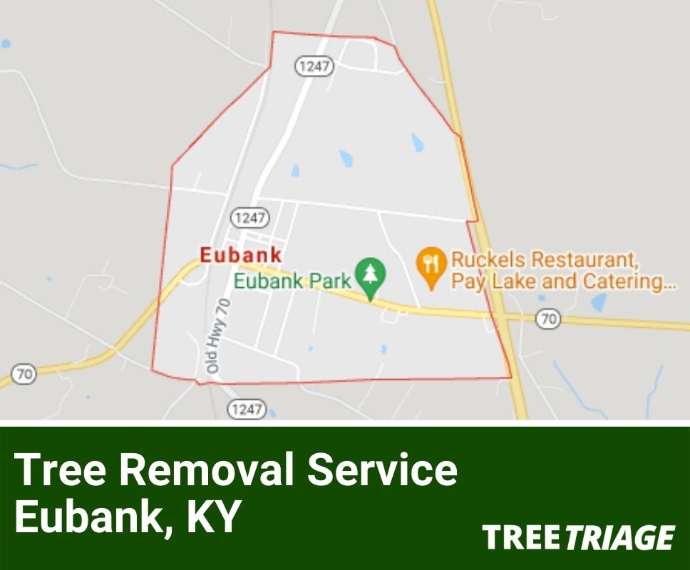 Tree Removal Service Eubank, KY-1