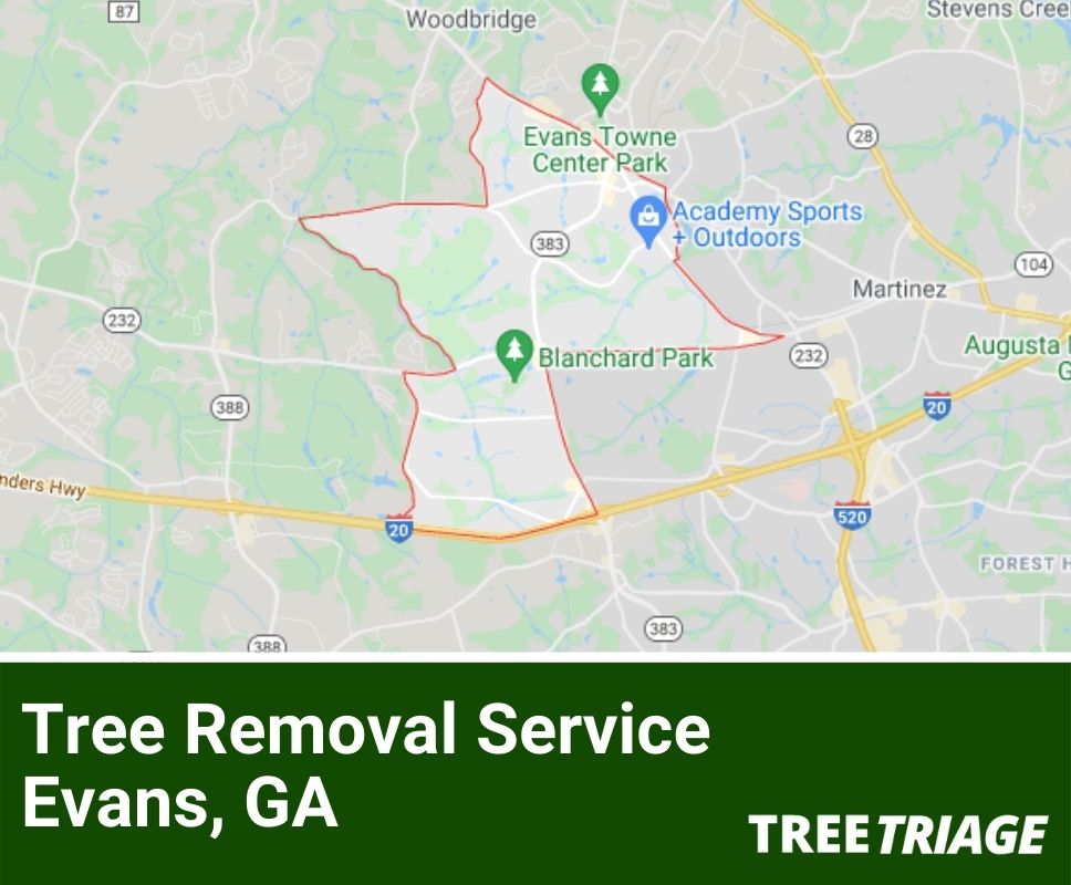 Tree Removal Service Evans, GA-1