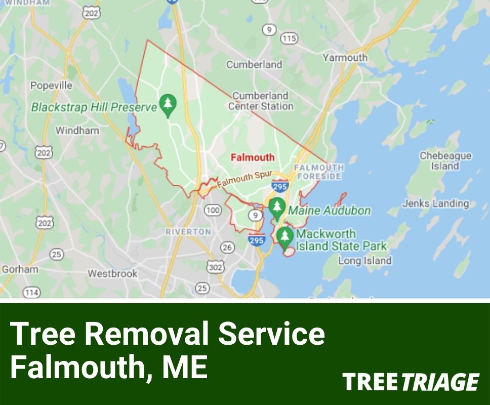 Tree Removal Service Falmouth, ME-1