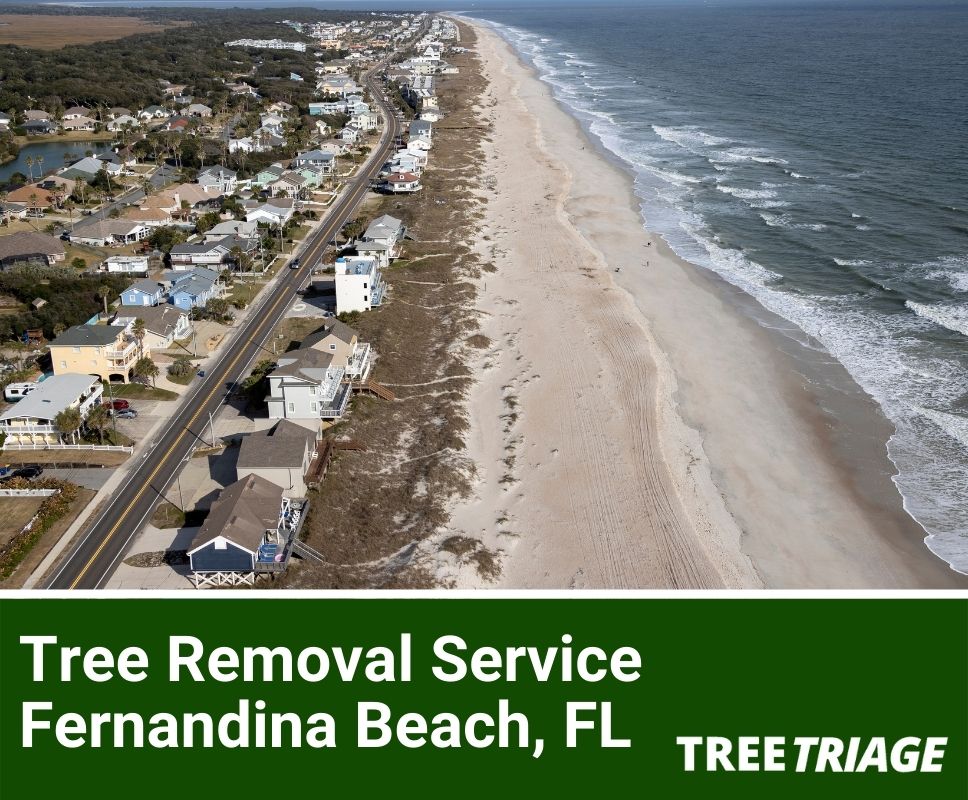 Tree Removal Service Fernandina Beach, FL-1
