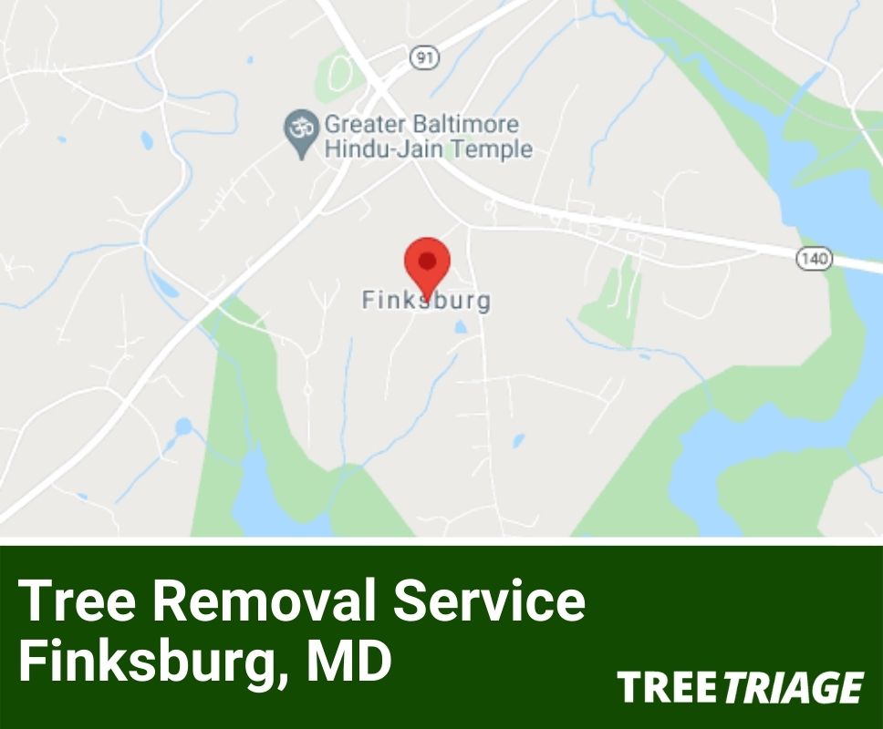 Tree Removal Service Finksburg, MD-1