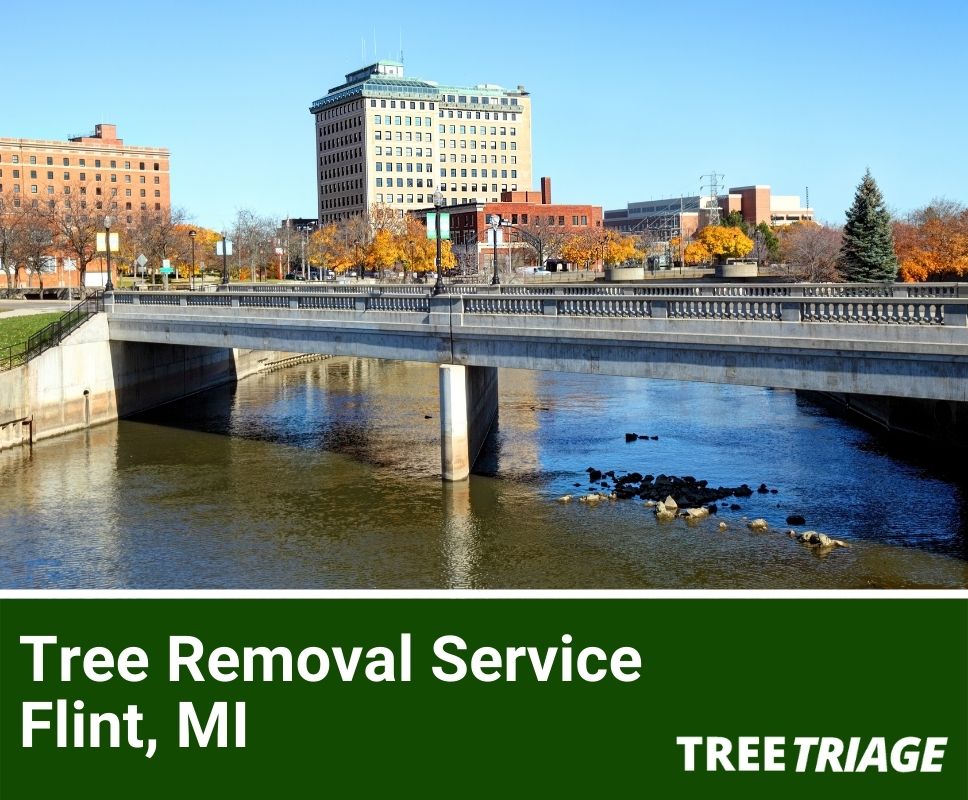Tree Removal Service Flint, MI-1