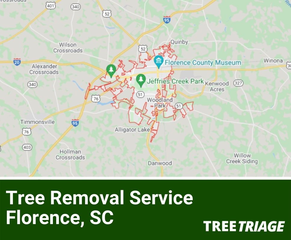 Tree Removal Service Florence, SC-1