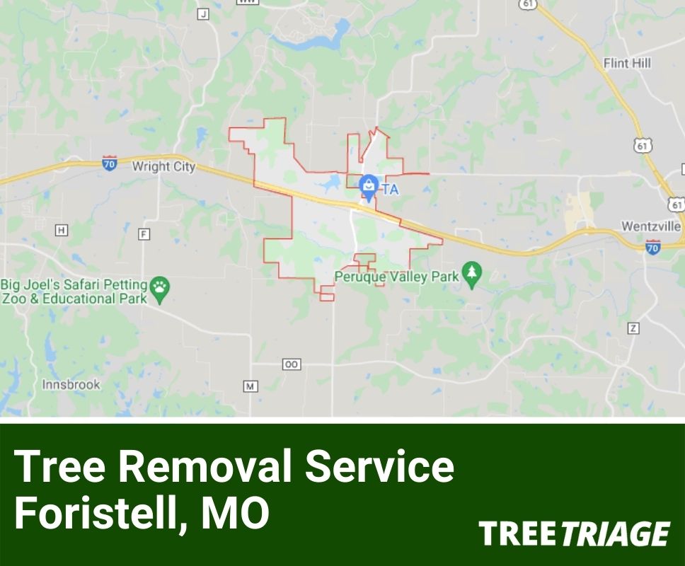 Tree Removal Service Foristell, MO-1
