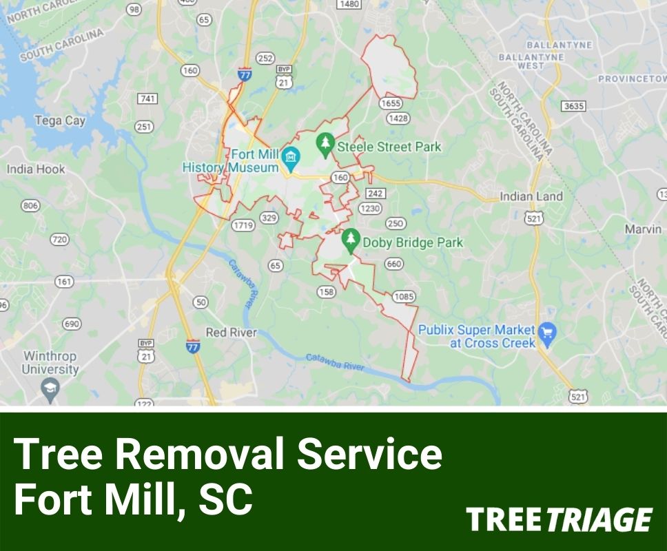 Tree Removal Service Fort Mill, SC-1