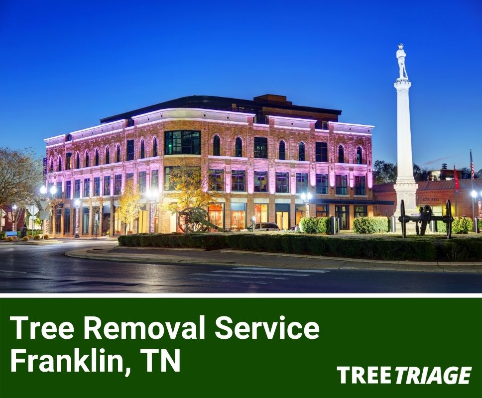 Tree Removal Service Franklin, TN-1