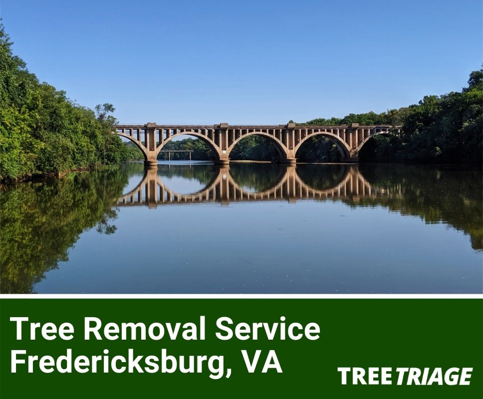 Tree Removal Service Fredericksburg, VA-1
