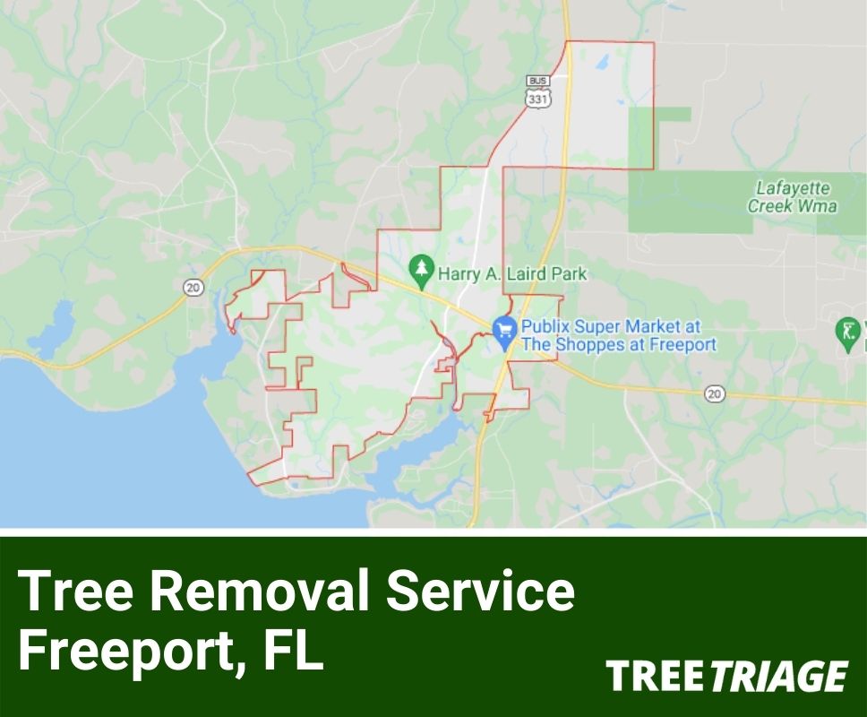 Tree Removal Service Freeport, FL-1