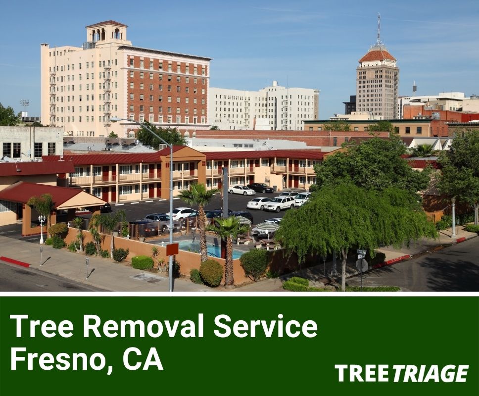 Tree Removal Service Fresno, CA-1(1)