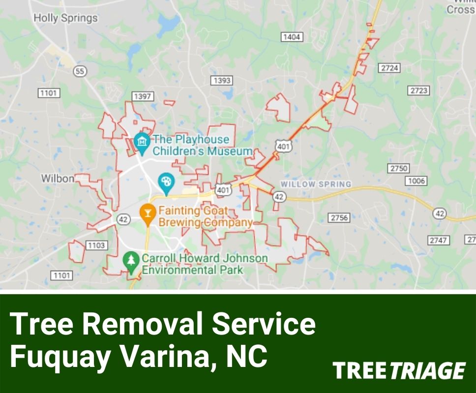Tree Removal Service Fuquay Varina, NC-1