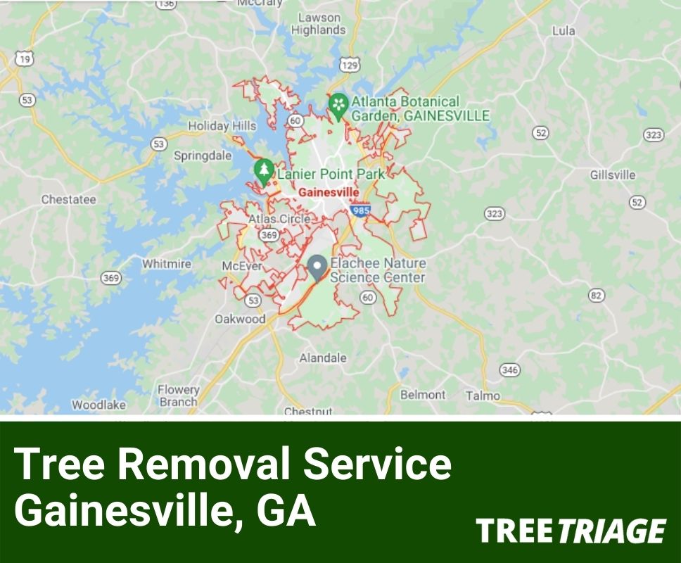 Tree Removal Service Gainesville, GA-1(1)