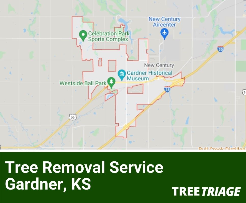 Tree Removal Service Gardner, KS-1