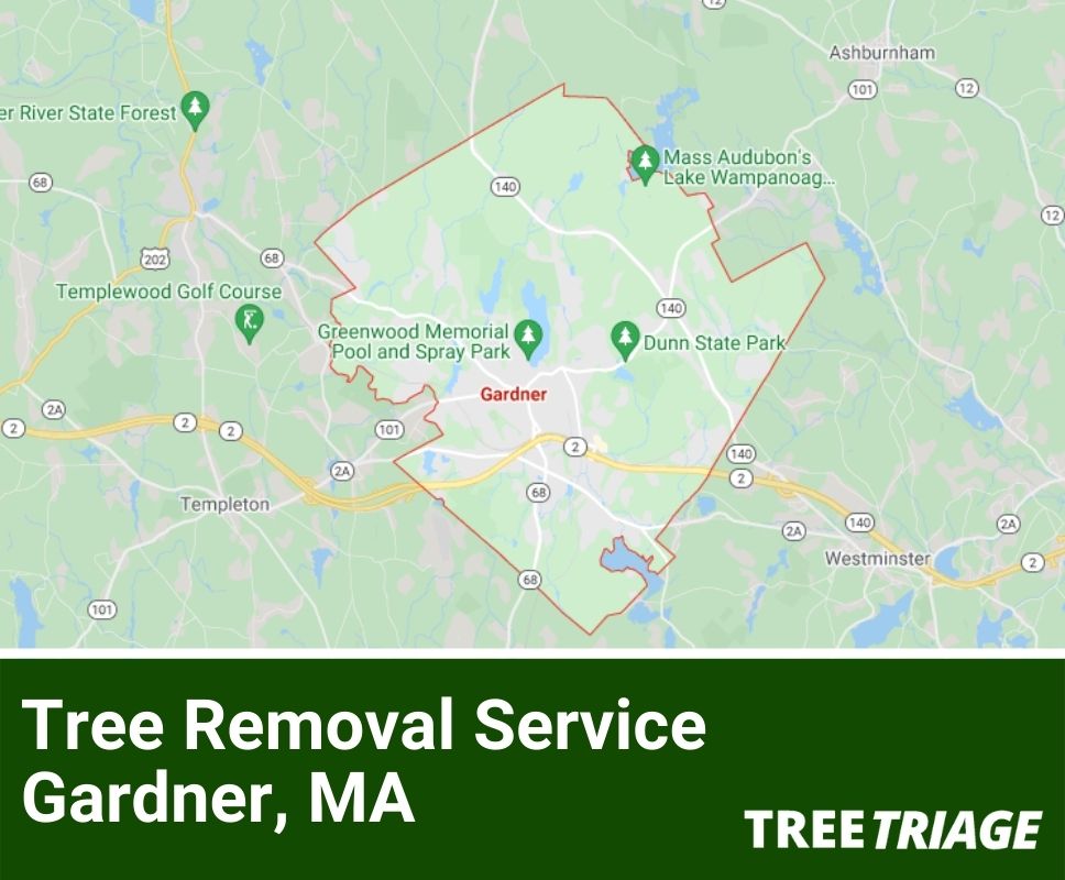 Tree Removal Service Gardner, MA-1