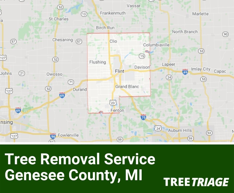 Tree Removal Service Genesee County, MI-1