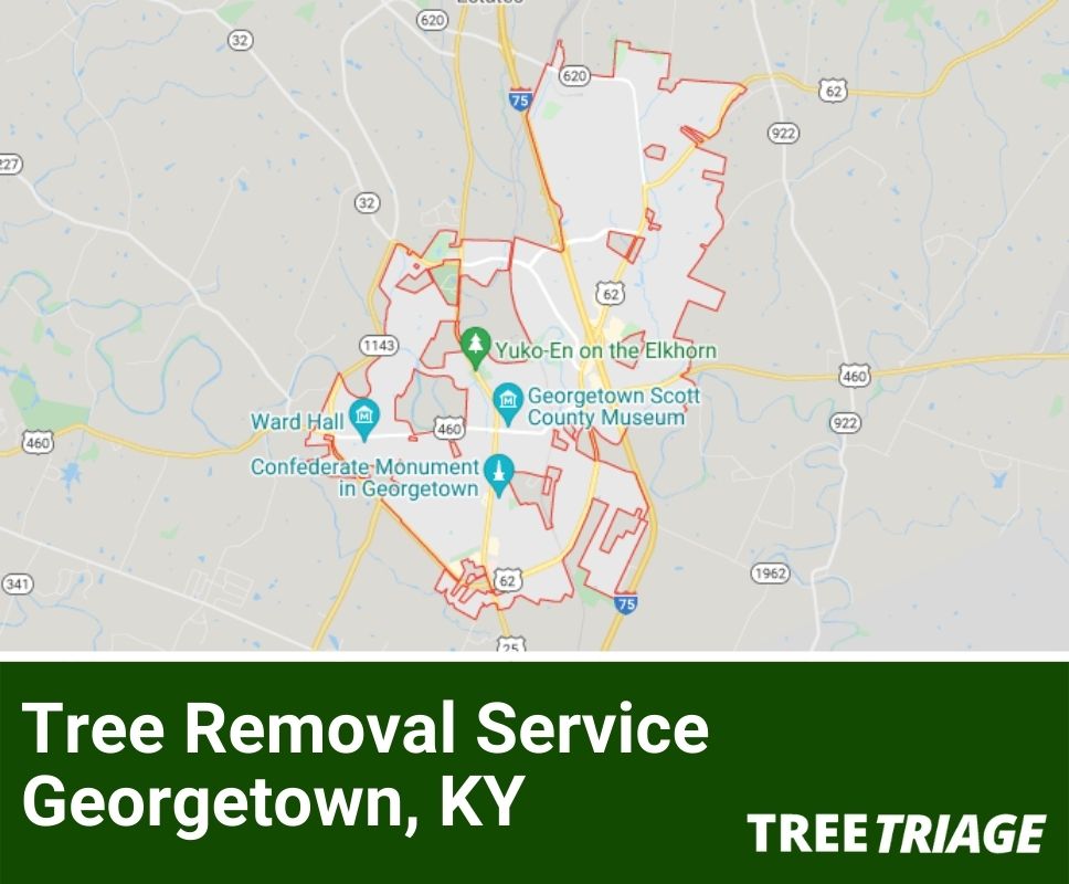 Tree Removal Service Georgetown, KY-1