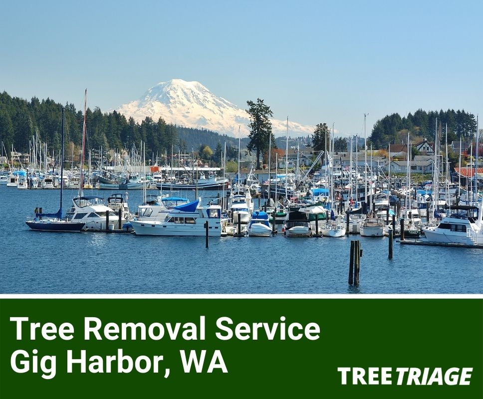 Tree Removal Service Gig Harbor, WA-1