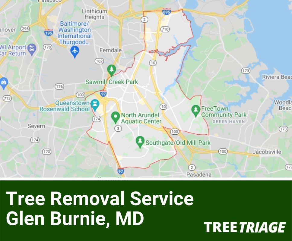 Tree Removal Service Glen Burnie, MD-1(1)