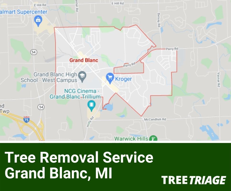 Tree Removal Service Grand Blanc, MI-1(1)