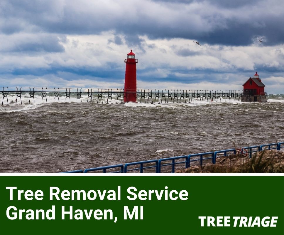Tree Removal Service Grand Haven, MI-1