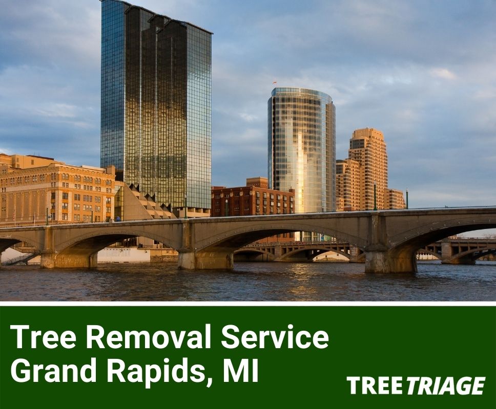 Tree Removal Service Grand Rapids, MI-1